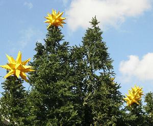 Karlsruhe: Weihnachtsbäume werden aufgestellt