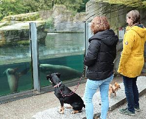 Auf vier Pfoten durch den Zoo Karlsruhe