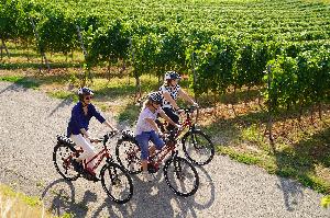 Aktiv den Frühling genießen