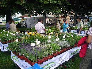 DIGA® Die Gartenmesse 31. Juli bis 2. August 2026 an der Rennbahn in Iffezheim